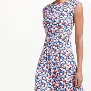 Boden Marina Poppy Fit & Flare Dress - Size 2P